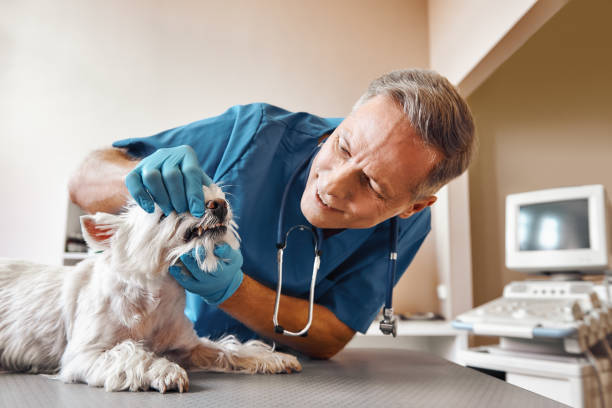 Best Emergency Tooth Extraction  in San Andreas, CA